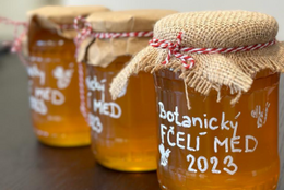 Med z Botanickej záhrady MTF STU