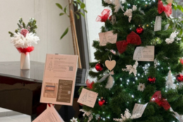 17.12.2024 – Univerzitné stromčeky prianí