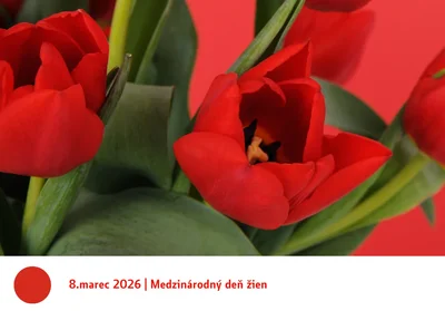 Medzinárodný deň žien