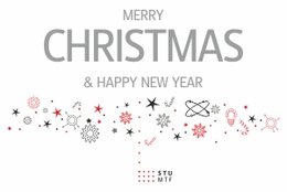 New Year's wish