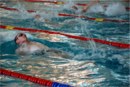 43. ročník medzinárodných plaveckých pretekov „Veľká cena Trnavy“  na pôde Materiálovotechnologickej fakulty