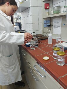 Uibe privítalo španielskych stredoškolákov - UIBE26-02a