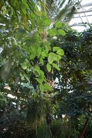 Fotogaléria obr.77